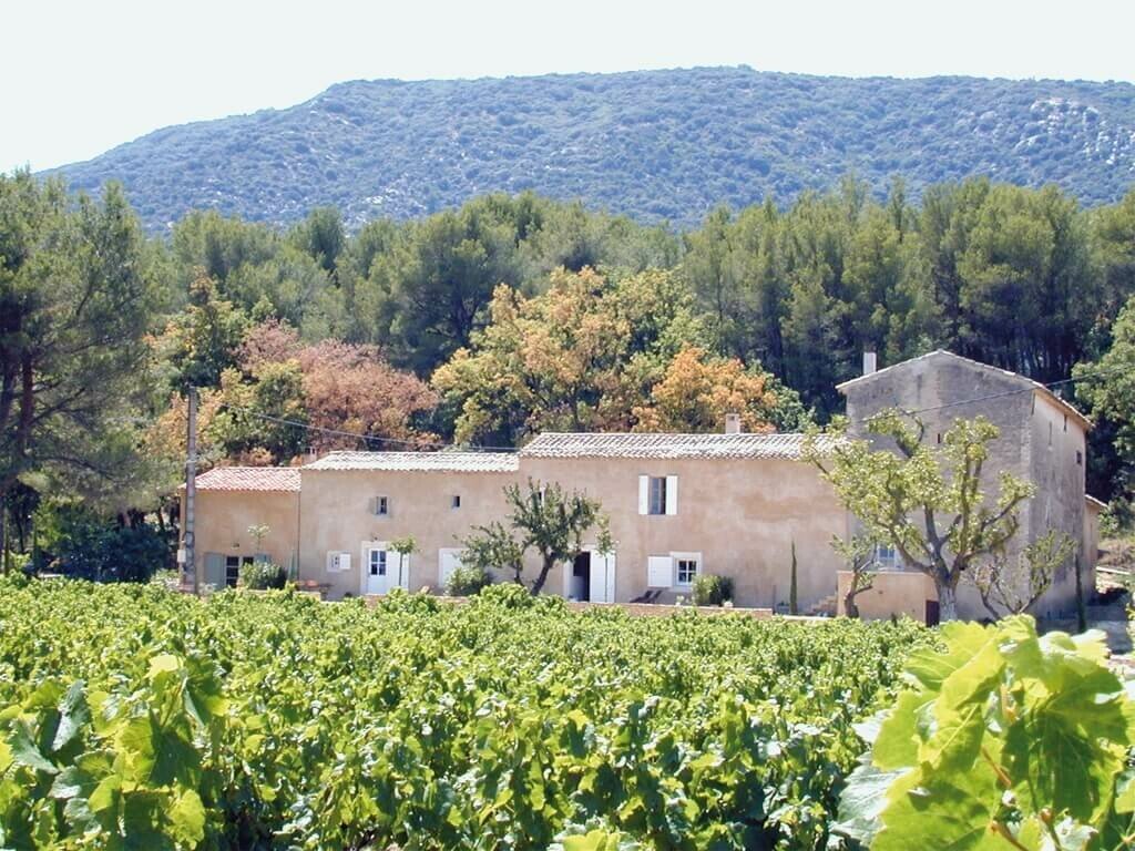 Découverte des vins du Luberon • banniere domaine