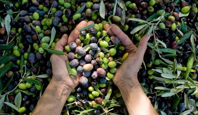 Poignée d'olives noires et vertes