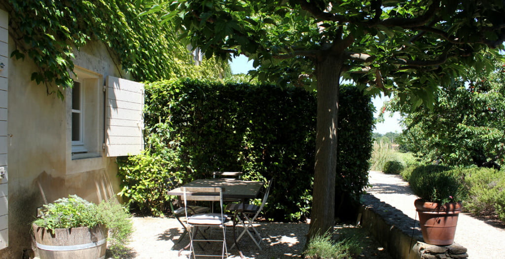 Galerie &bull; gite figuier jardin 4