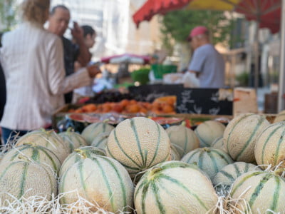 Marchés de Provence
