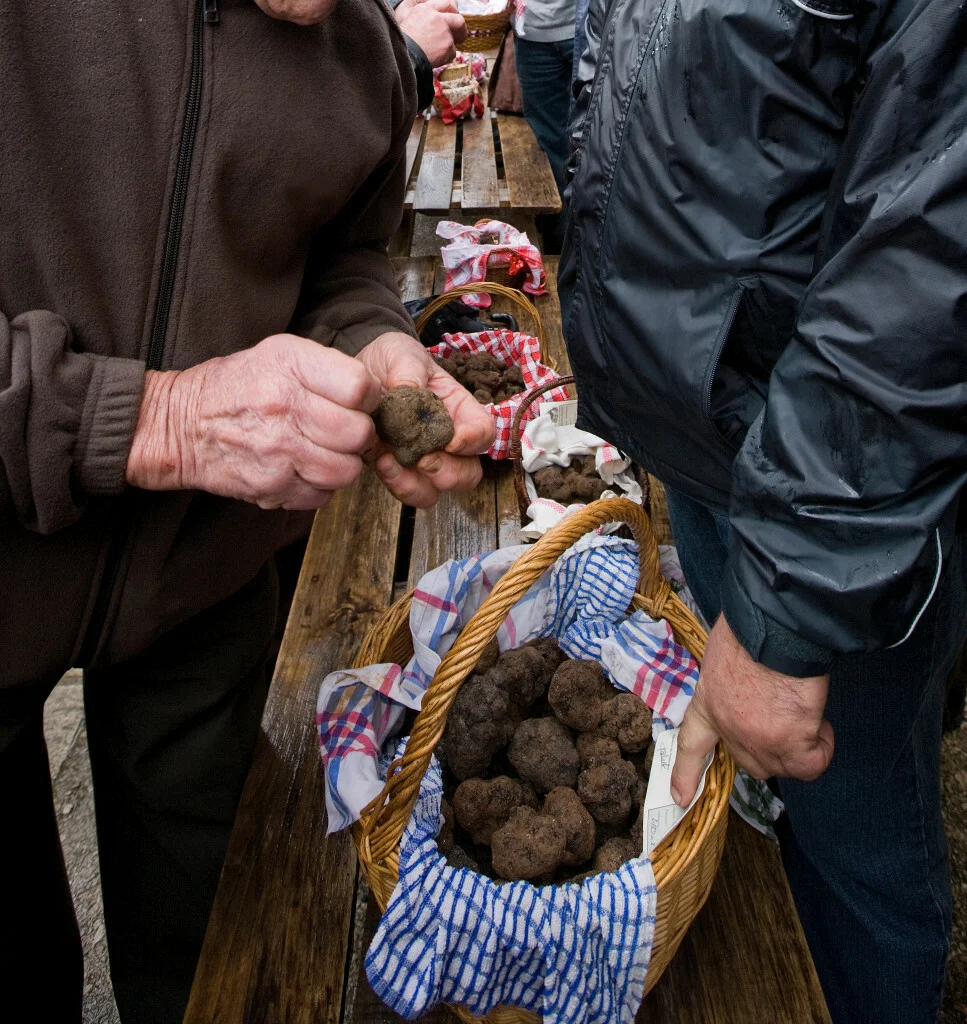 Marchés de Provence • marche truffes