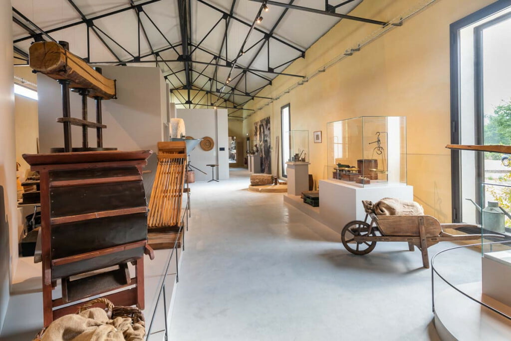 Musée de l'huile d'olive • musee huile olive