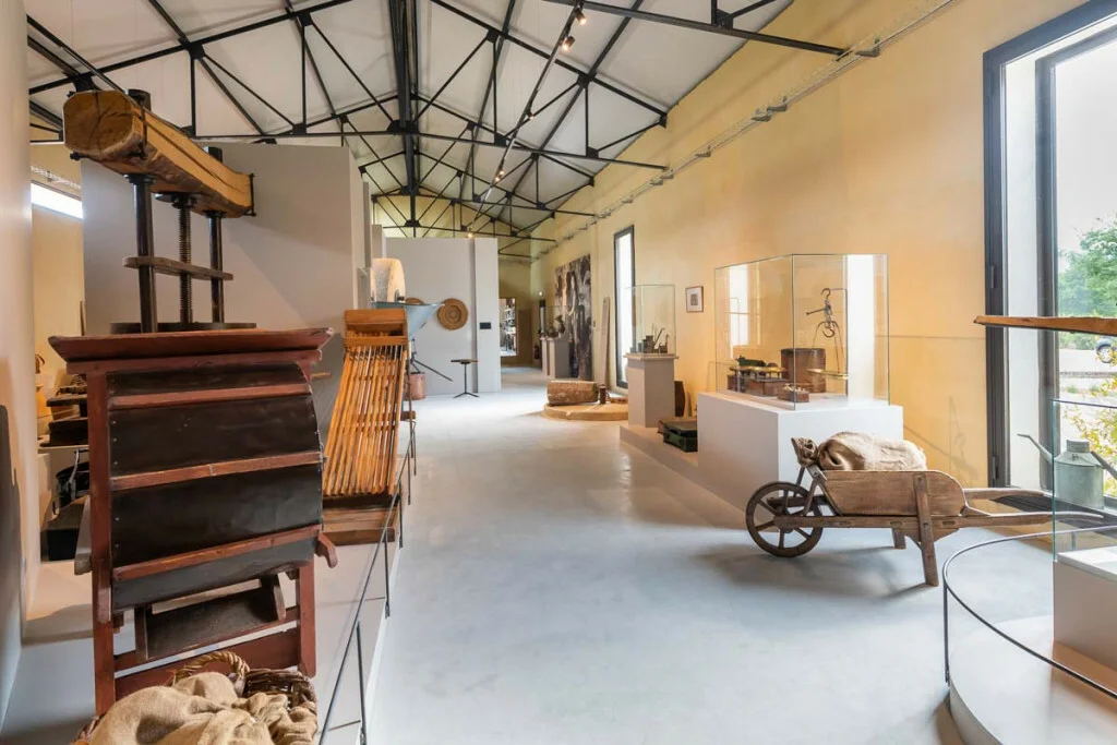 Musée de l'huile d'olive &bull; musee huile olive