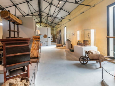 Musée de l&rsquo;huile d&rsquo;olive