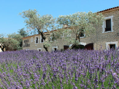 Musée de la Lavande à Coustellet