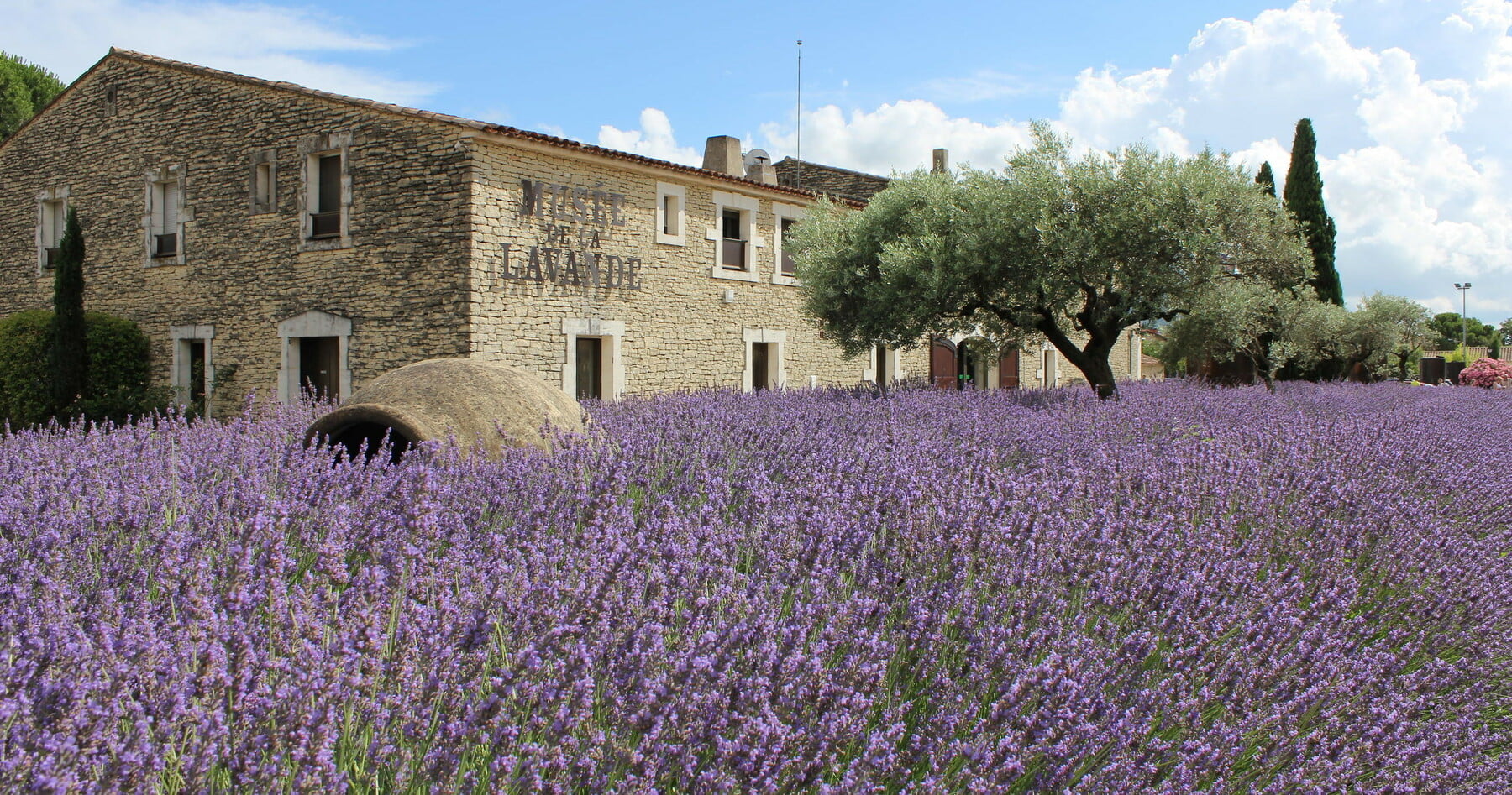 Musée de la Lavande à Coustellet &bull; musee lavande