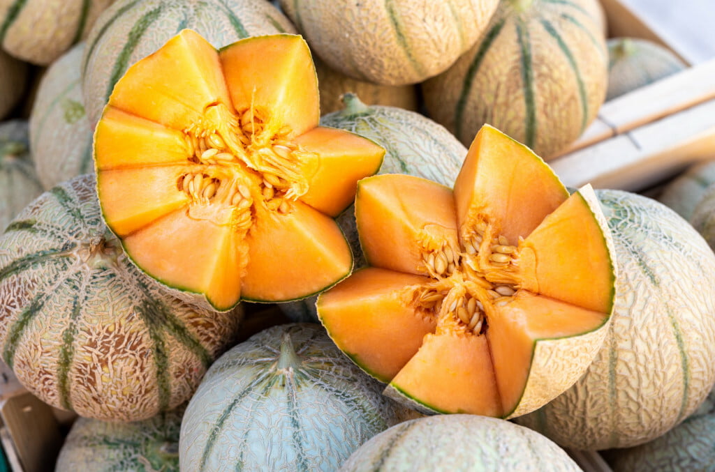 Saveurs du Luberon &bull; shutterstock 1449862091 1 scaled