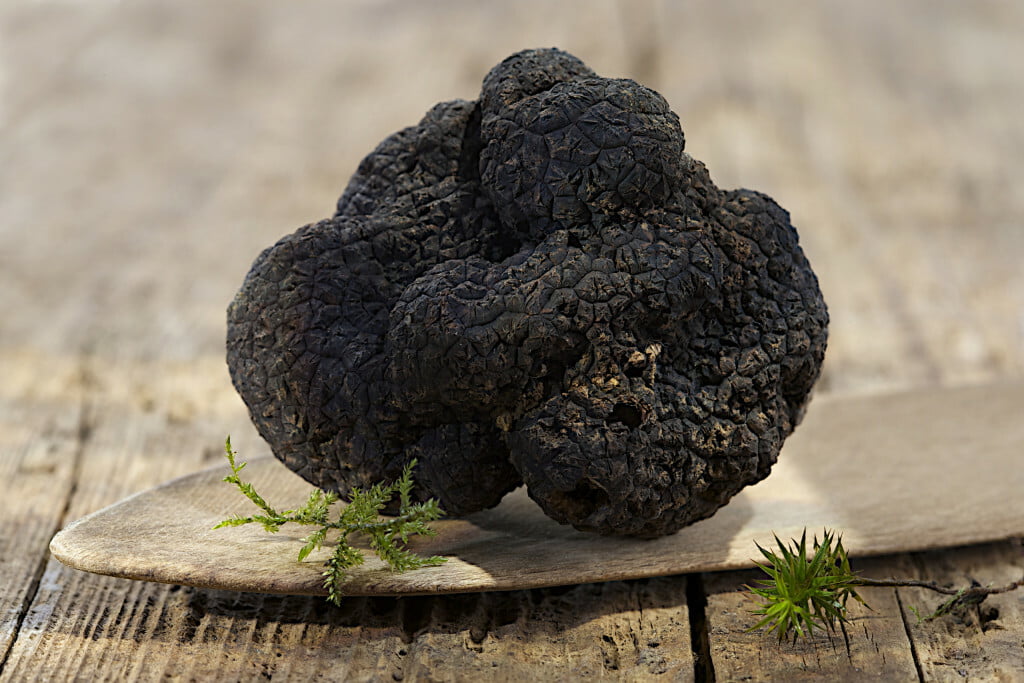 Saveurs du Luberon &bull; shutterstock 169878272 1 scaled