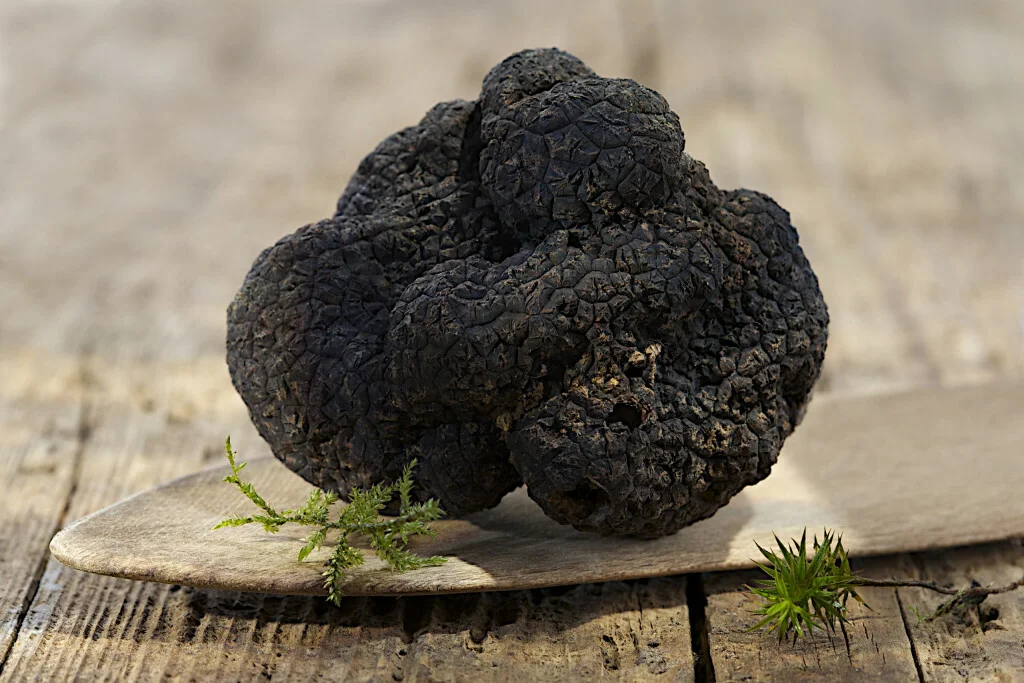 Saveurs du Luberon &bull; shutterstock 169878272 1 scaled