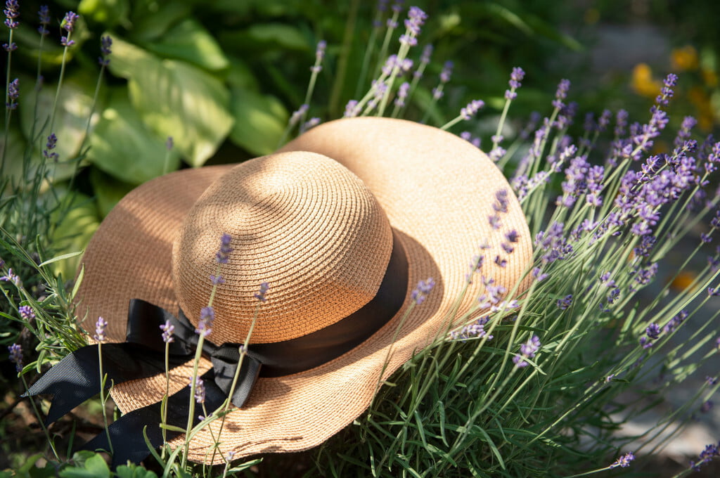 Votre mariage de rêve au cœur du Luberon • shutterstock 2015426240
