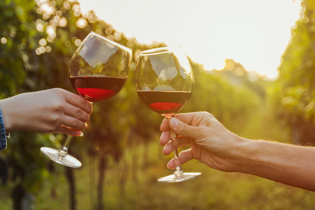 Saveurs du Luberon &bull; verres vin