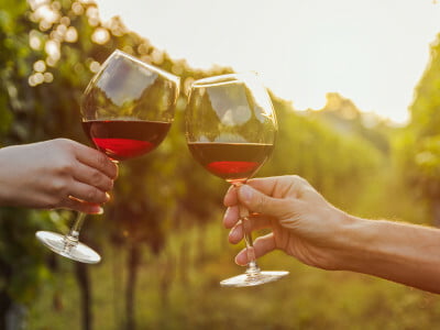 Saveurs du Luberon
