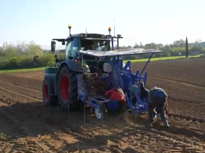 Plantation de la vigne &bull; vignes